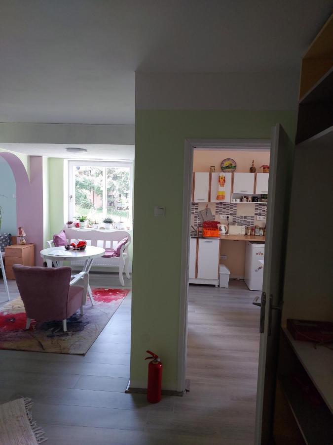 Apartman Nikola Rakovac エクステリア 写真