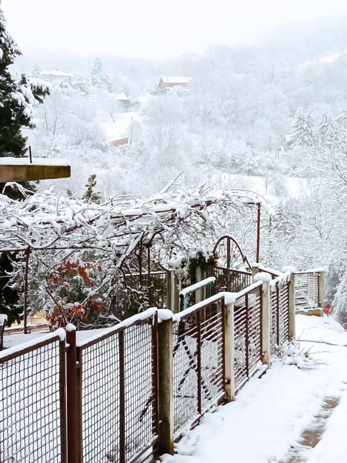 Apartman Nikola Rakovac エクステリア 写真