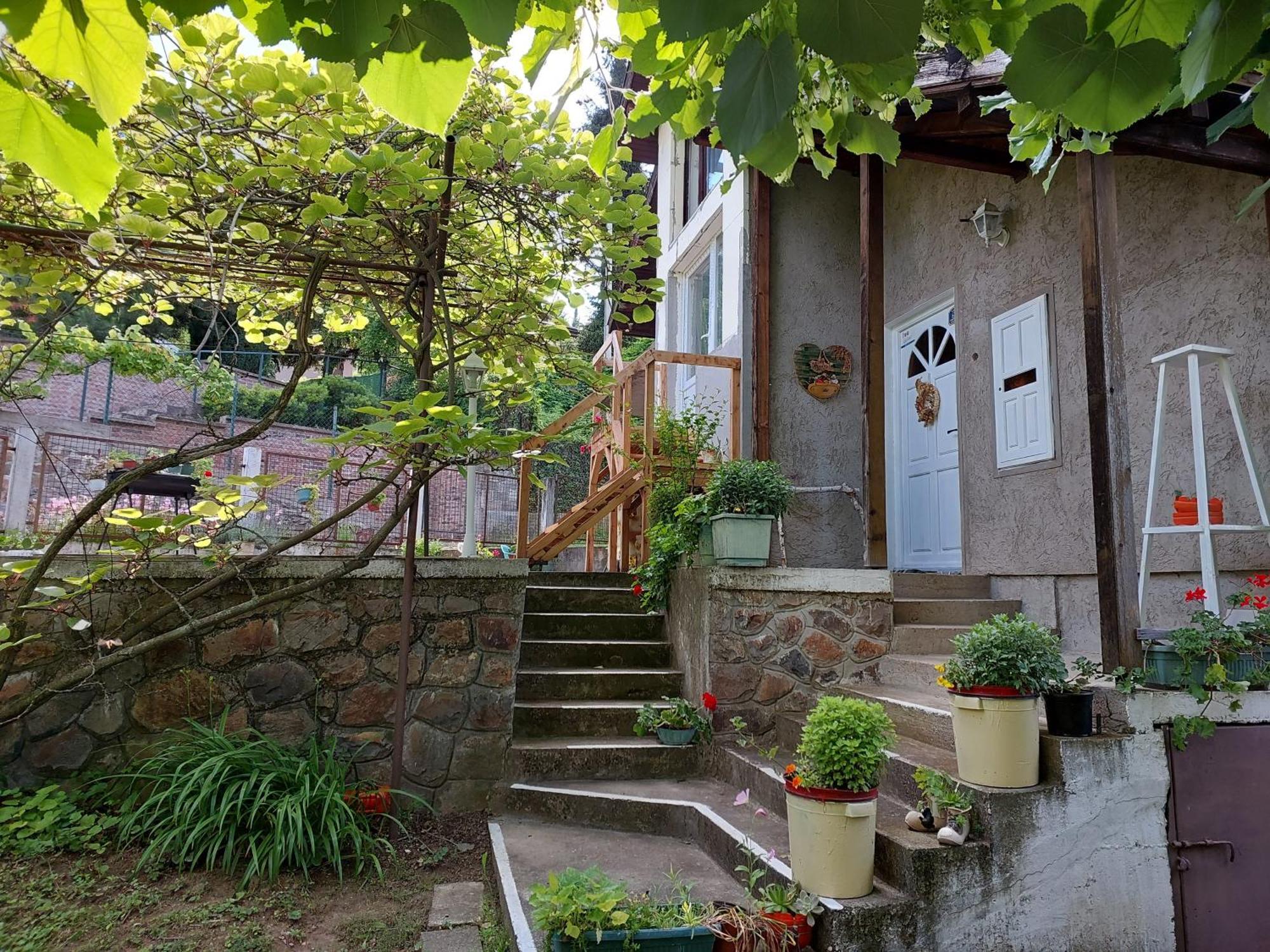Apartman Nikola Rakovac エクステリア 写真