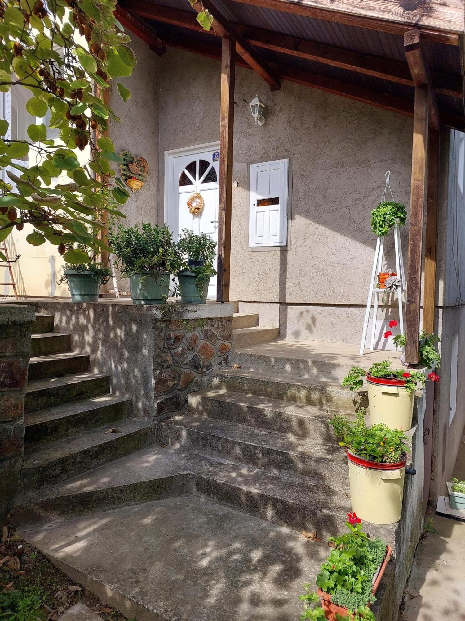 Apartman Nikola Rakovac エクステリア 写真