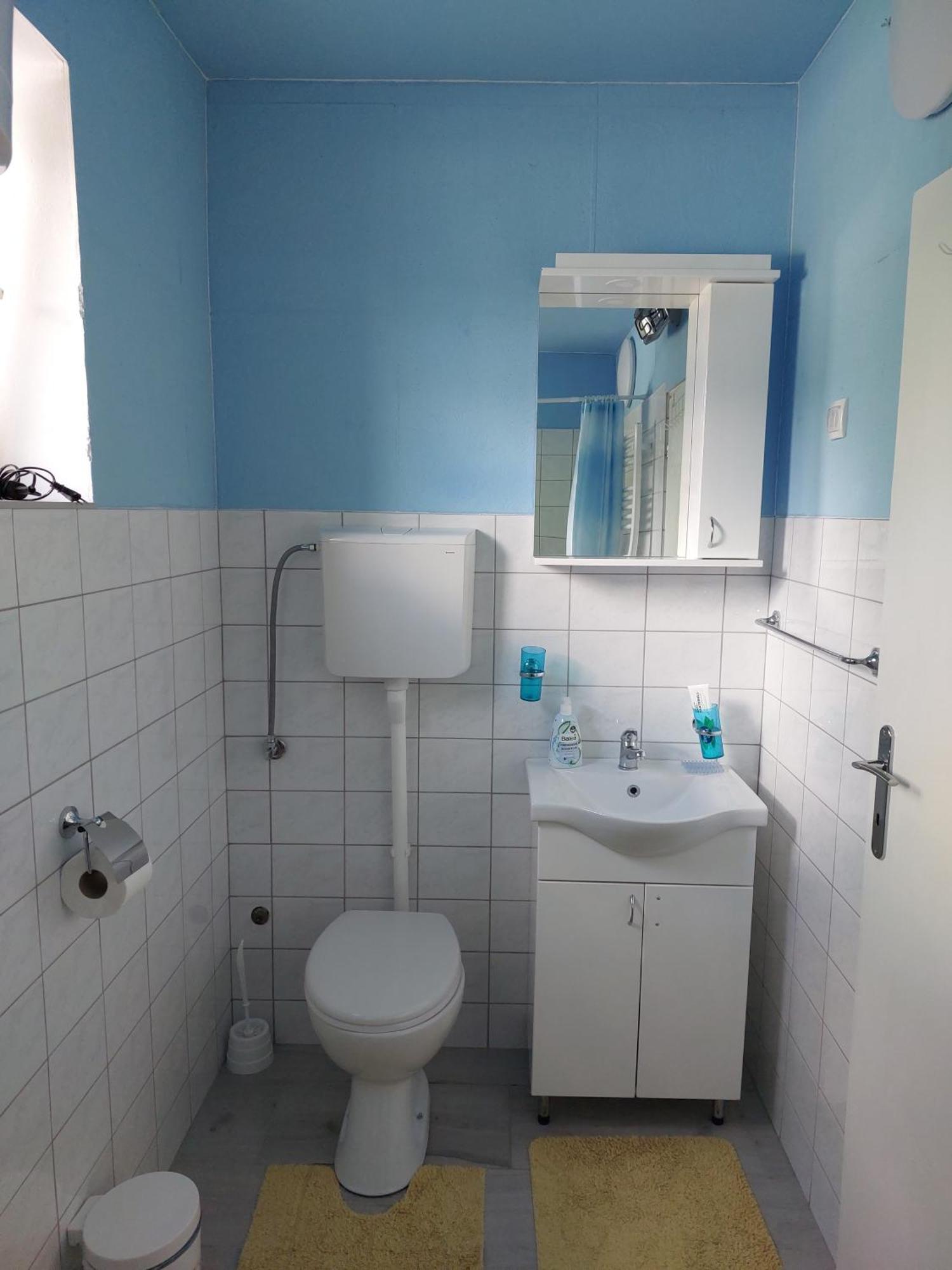 Apartman Nikola Rakovac エクステリア 写真